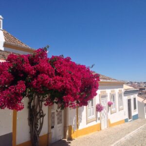 Relax in Tavira